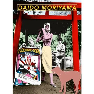 Fotografía de Daido Moriyama - Archivo de fotógrafos | Z.Fp