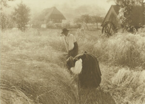 Alfred Stieglitz