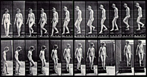 Eadweard Muybridge