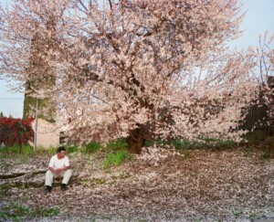 Larry Sultan